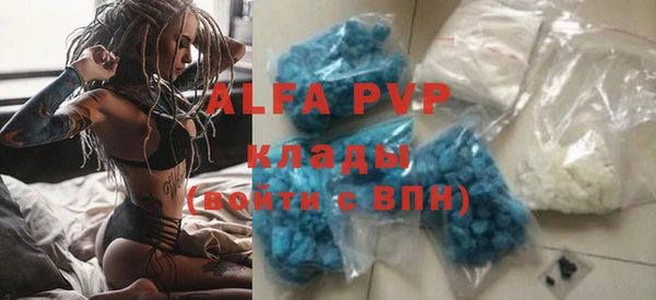 гашиш Богданович