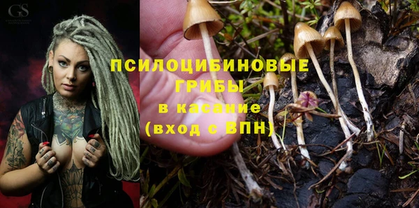 соль ск Богородицк