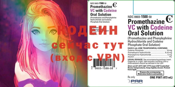 гашиш Богданович