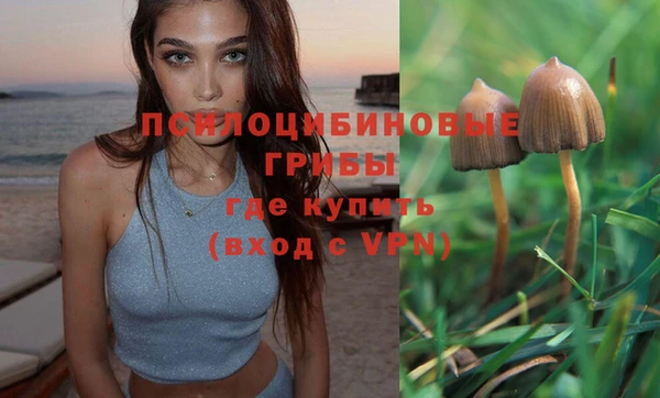 не бодяженный Богородск