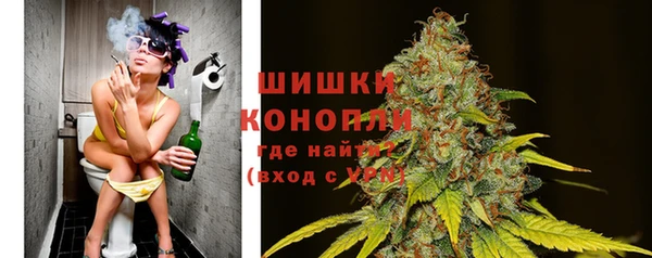 соль ск Богородицк