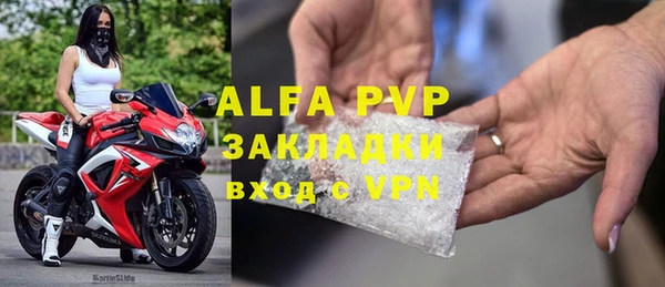 гашиш Богданович
